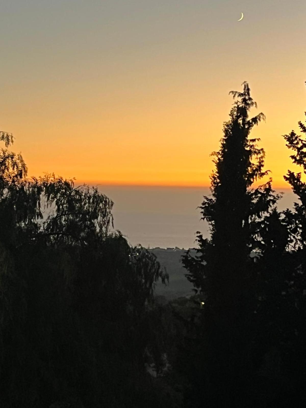Falaride Suite Agrigento Discesa Sulla Valle Di Oro 외부 사진
